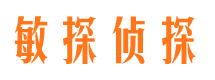 眉县侦探公司